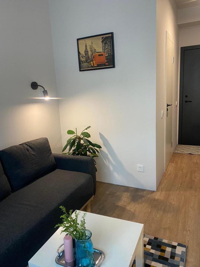 Lovekaunas Apartments Eksteriør bilde